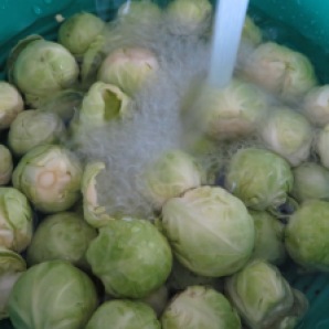 Wash sprouts thoroughly